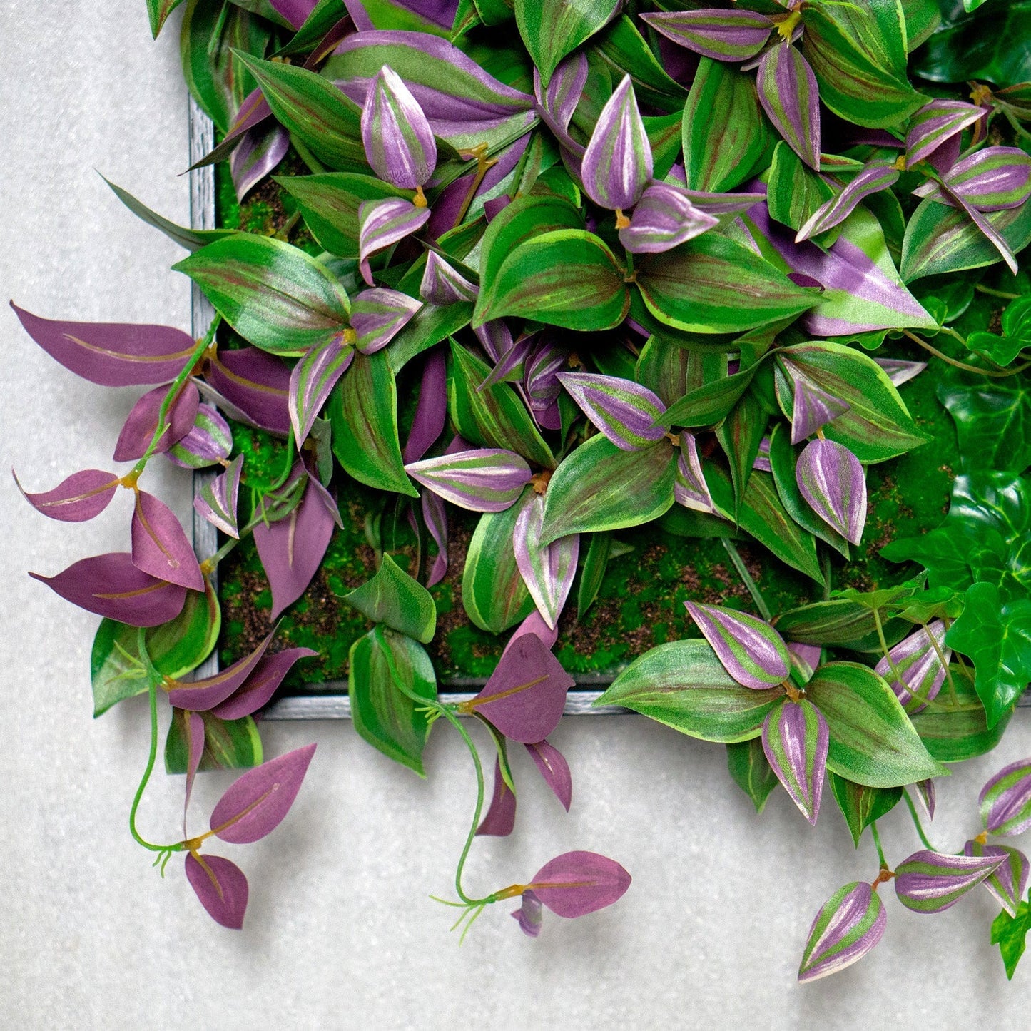 Green Wall, Trailing Mix #1 By Gold Leaf | Wall Art | Modishstore - 2
