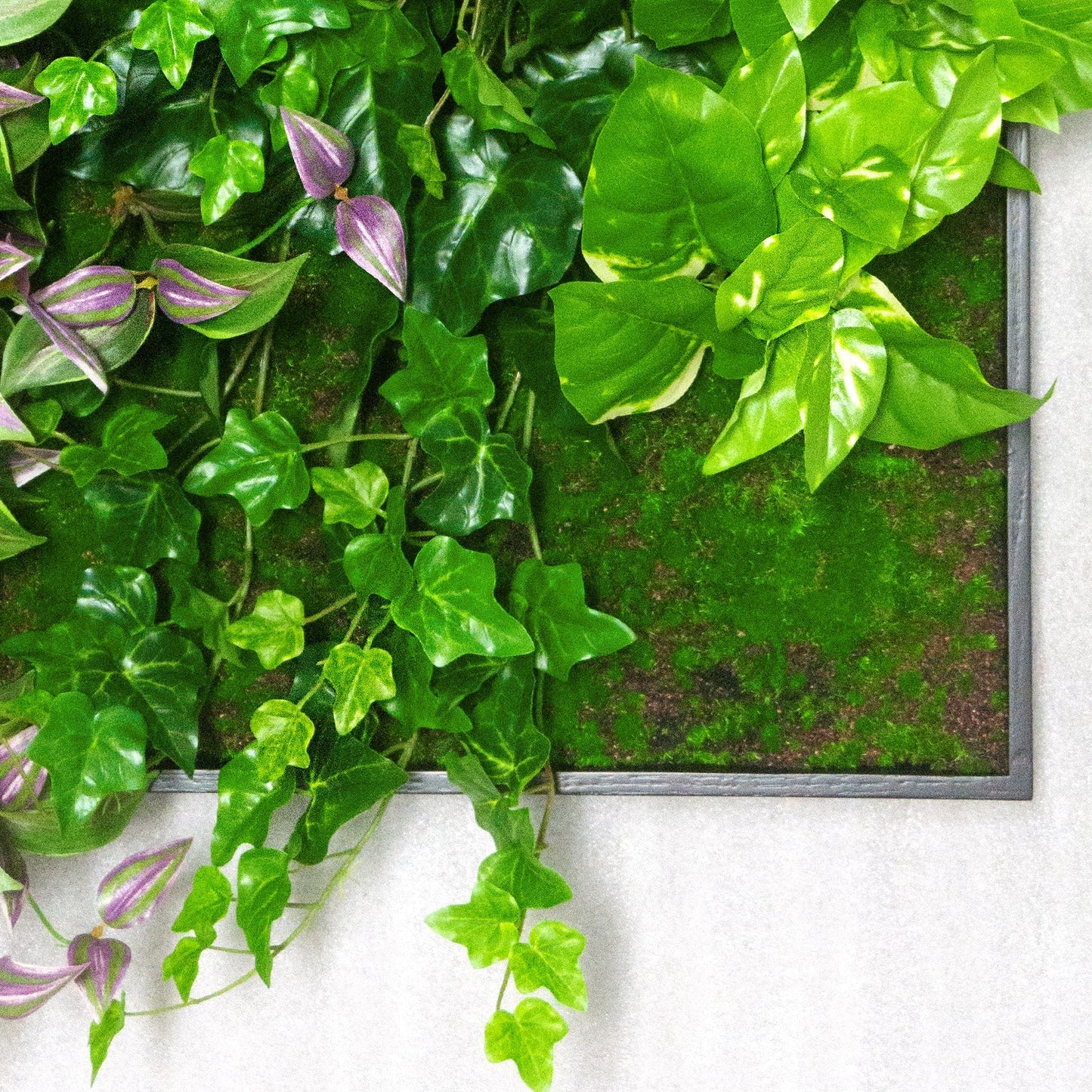Green Wall, Trailing Mix #1 By Gold Leaf | Wall Art | Modishstore - 3