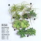 Green Wall Satellite, Wall Play™ Barnacle w/ Succulents & Air Plants, Set of 10 By Gold Leaf | Wall Art | Modishstore - 4