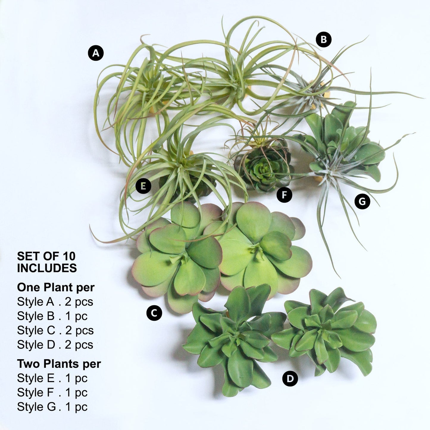Green Wall Satellite, Wall Play™ Barnacle w/ Succulents & Air Plants, Set of 10 By Gold Leaf | Wall Art | Modishstore - 4