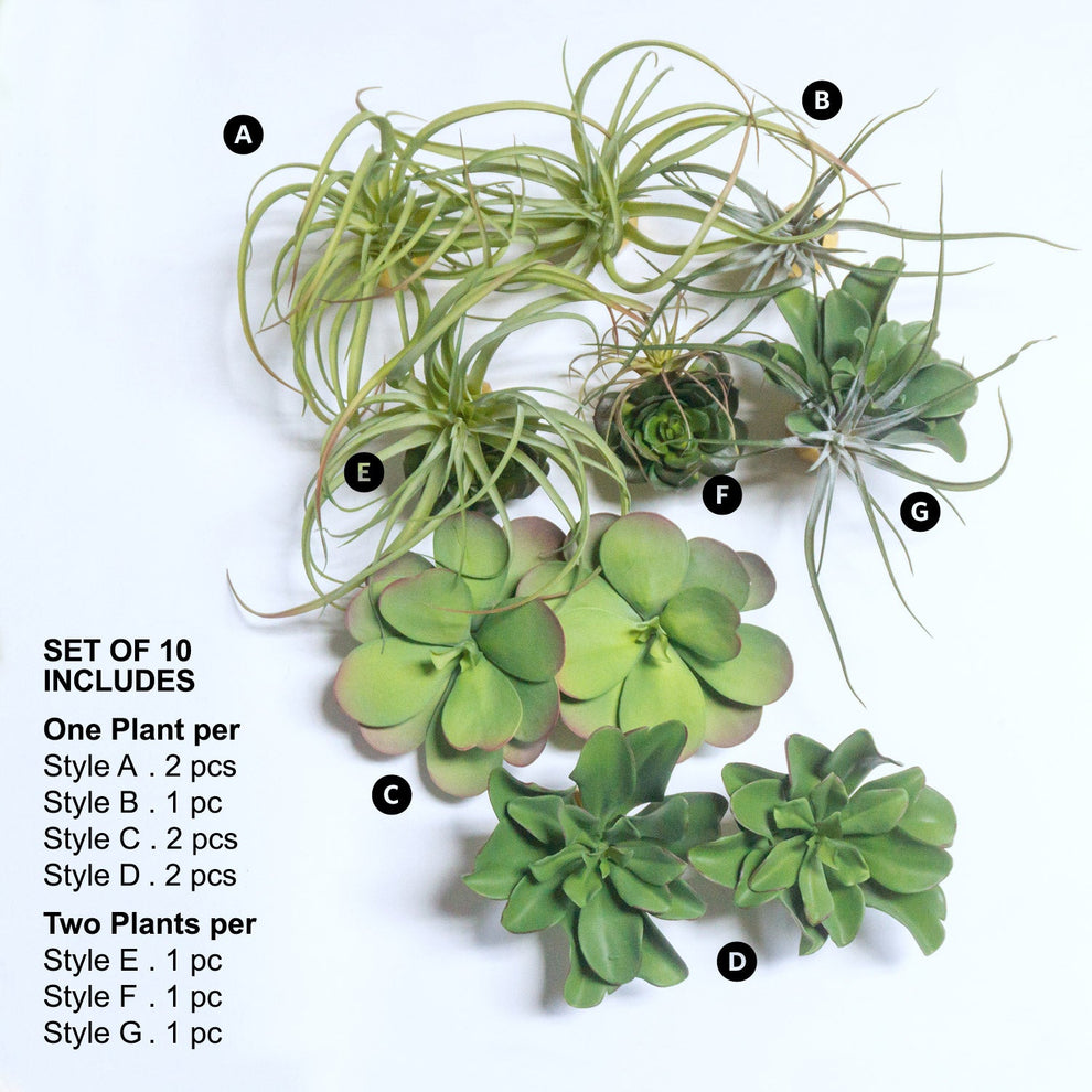Green Wall Satellite, Wall Play™ Barnacle w/ Succulents & Air Plants, Set of 10 By Gold Leaf | Wall Art | Modishstore - 4