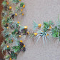 Green Wall Satellite, Wall Play™ Barnacle w/ Succulents & Air Plants, Set of 10 By Gold Leaf | Wall Art | Modishstore - 10