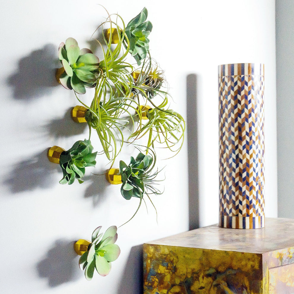 Green Wall Satellite, Wall Play™ Barnacle w/ Succulents & Air Plants, Set of 10 By Gold Leaf | Wall Art | Modishstore - 9