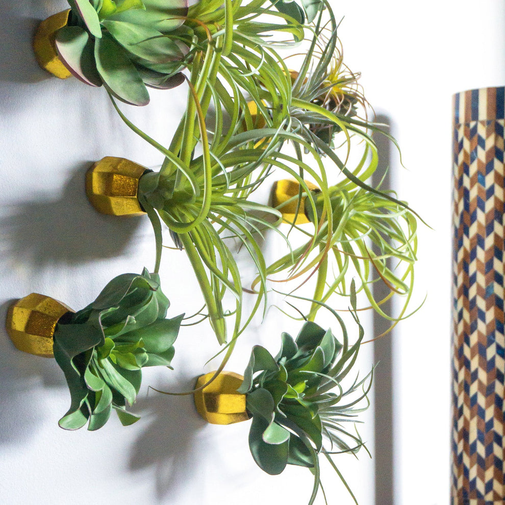 Green Wall Satellite, Wall Play™ Barnacle w/ Succulents & Air Plants, Set of 10 By Gold Leaf | Wall Art | Modishstore - 5