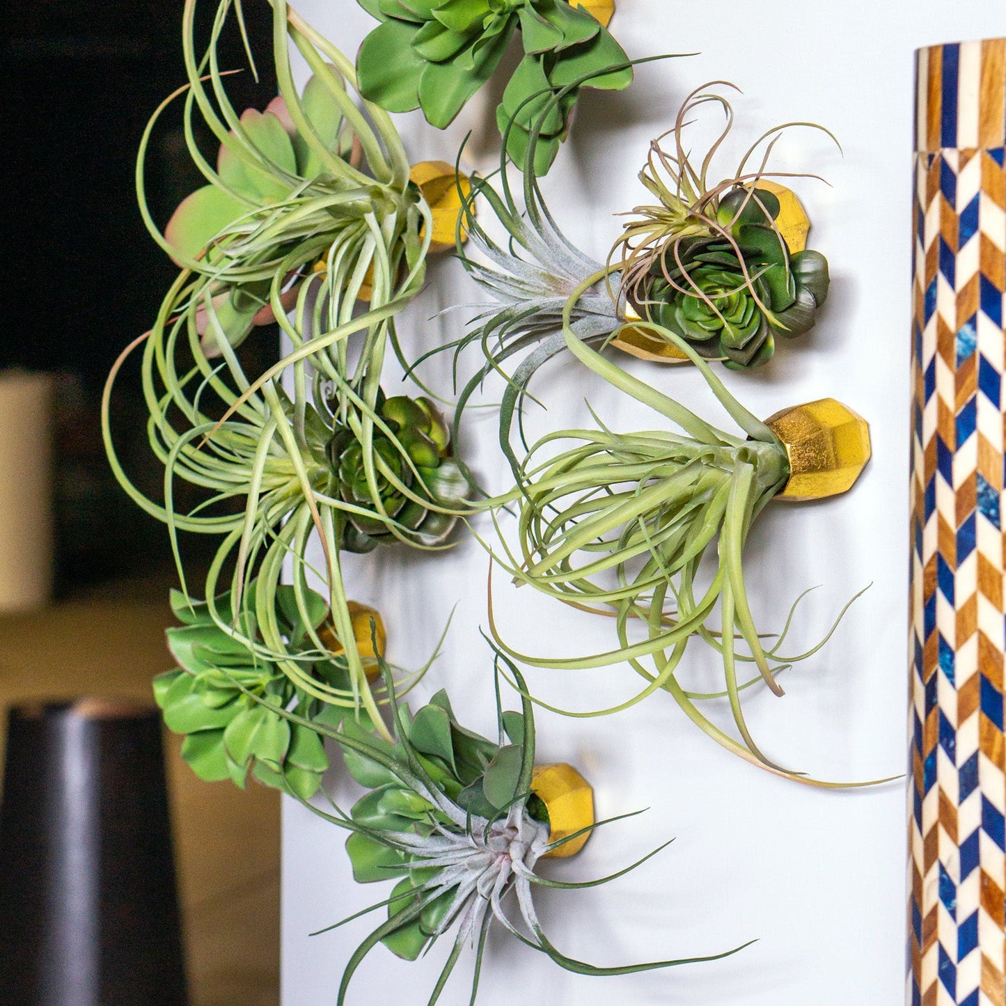 Green Wall Satellite, Wall Play™ Barnacle w/ Succulents & Air Plants, Set of 10 By Gold Leaf | Wall Art | Modishstore - 2