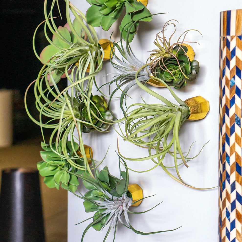 Green Wall Satellite, Wall Play™ Barnacle w/ Succulents & Air Plants, Set of 10 By Gold Leaf | Wall Art | Modishstore - 2