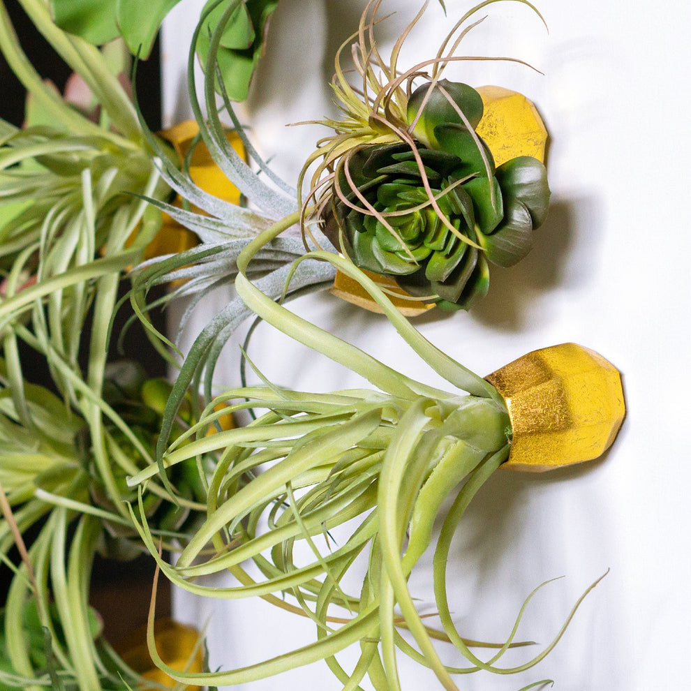 Green Wall Satellite, Wall Play™ Barnacle w/ Succulents & Air Plants, Set of 10 By Gold Leaf | Wall Art | Modishstore - 7