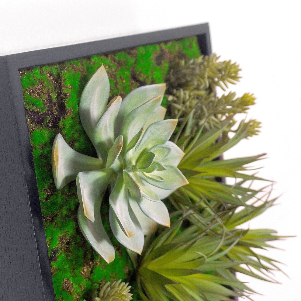 Green Wall, Mini w/ Grapto Mix 1 By Gold Leaf | Wall Art | Modishstore - 2