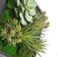 Green Wall, Mini w/ Grapto Mix 1 By Gold Leaf | Wall Art | Modishstore - 3