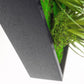 Green Wall, Mini w/ Grapto Mix 1 By Gold Leaf | Wall Art | Modishstore - 4