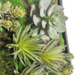 Green Wall, Mini w/ Grapto Mix 1 By Gold Leaf | Wall Art | Modishstore - 5
