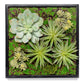 Green Wall, Mini w/ Grapto Mix 1 By Gold Leaf | Wall Art | Modishstore - 1