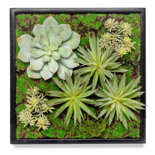 Green Wall, Mini w/ Grapto Mix 1 By Gold Leaf | Wall Art | Modishstore - 1