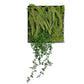 Green Wall, Mini Fern & Sedum Pearls 1 By Gold Leaf | Wall Art | Modishstore - 1