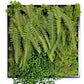 Green Wall, Mini Fern & Sedum Pearls 1 By Gold Leaf | Wall Art | Modishstore - 4