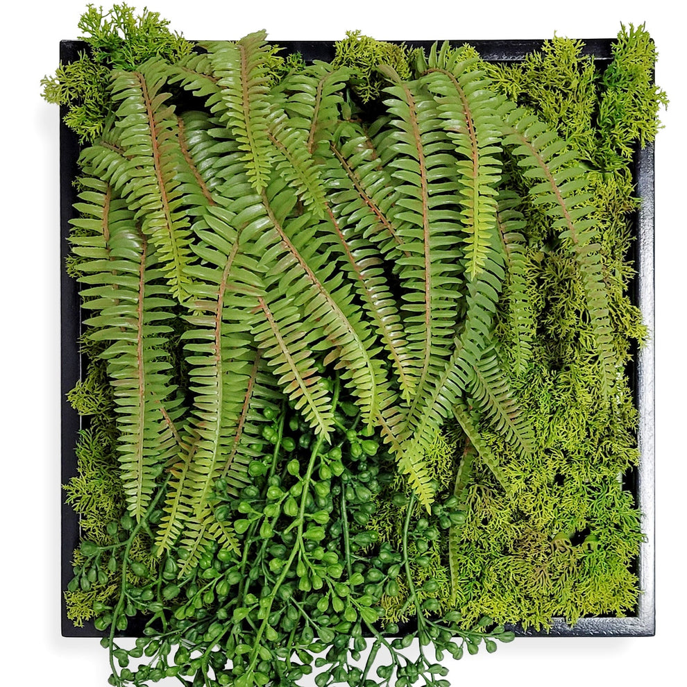 Green Wall, Mini Fern & Sedum Pearls 1 By Gold Leaf | Wall Art | Modishstore - 4