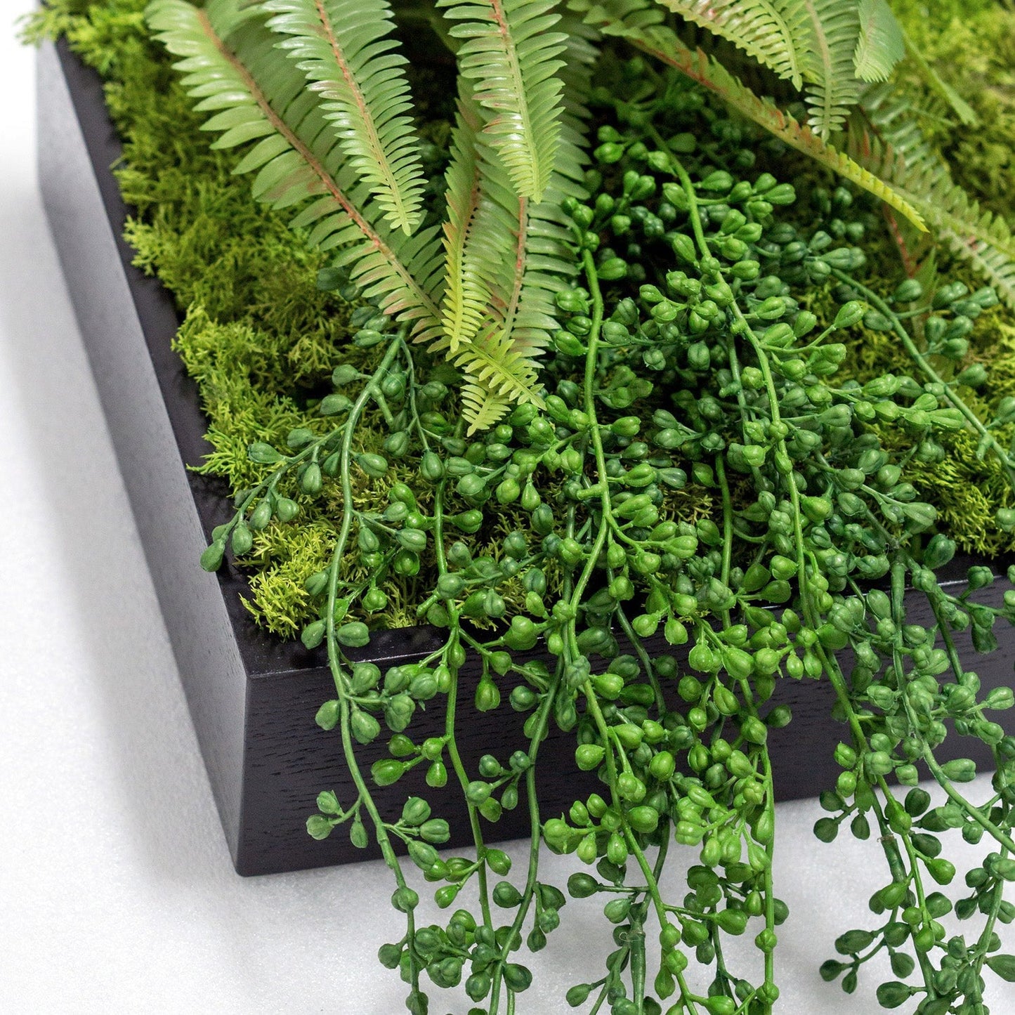 Green Wall, Mini Fern & Sedum Pearls 1 By Gold Leaf | Wall Art | Modishstore - 2