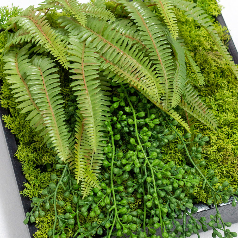 Green Wall, Mini Fern & Sedum Pearls 1 By Gold Leaf | Wall Art | Modishstore - 5