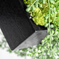 Green Wall, Mini Fern & Sedum Pearls 1 By Gold Leaf | Wall Art | Modishstore - 6