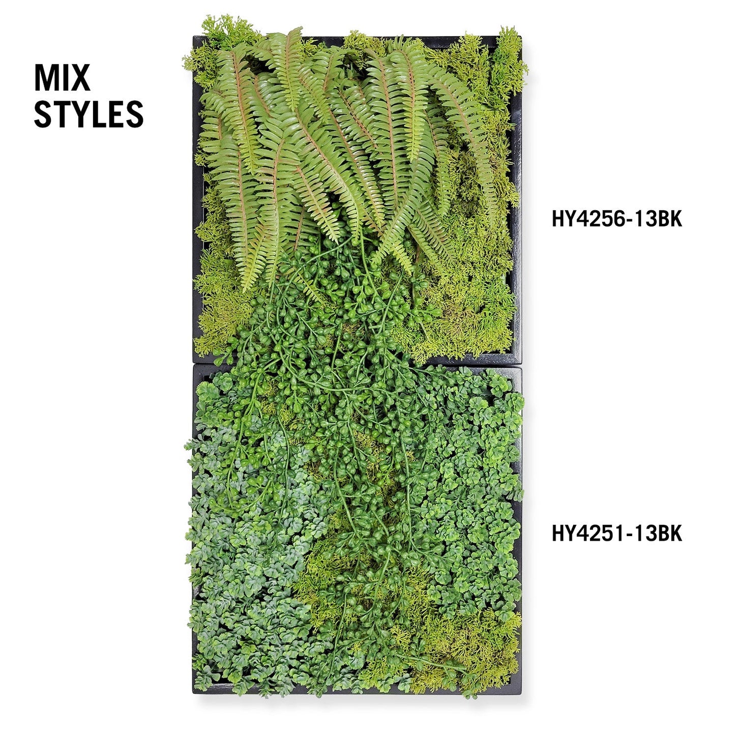 Green Wall, Mini Fern & Sedum Pearls 1 By Gold Leaf | Wall Art | Modishstore - 8