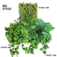Green Wall, Mini Fern & Sedum Pearls 1 By Gold Leaf | Wall Art | Modishstore - 9