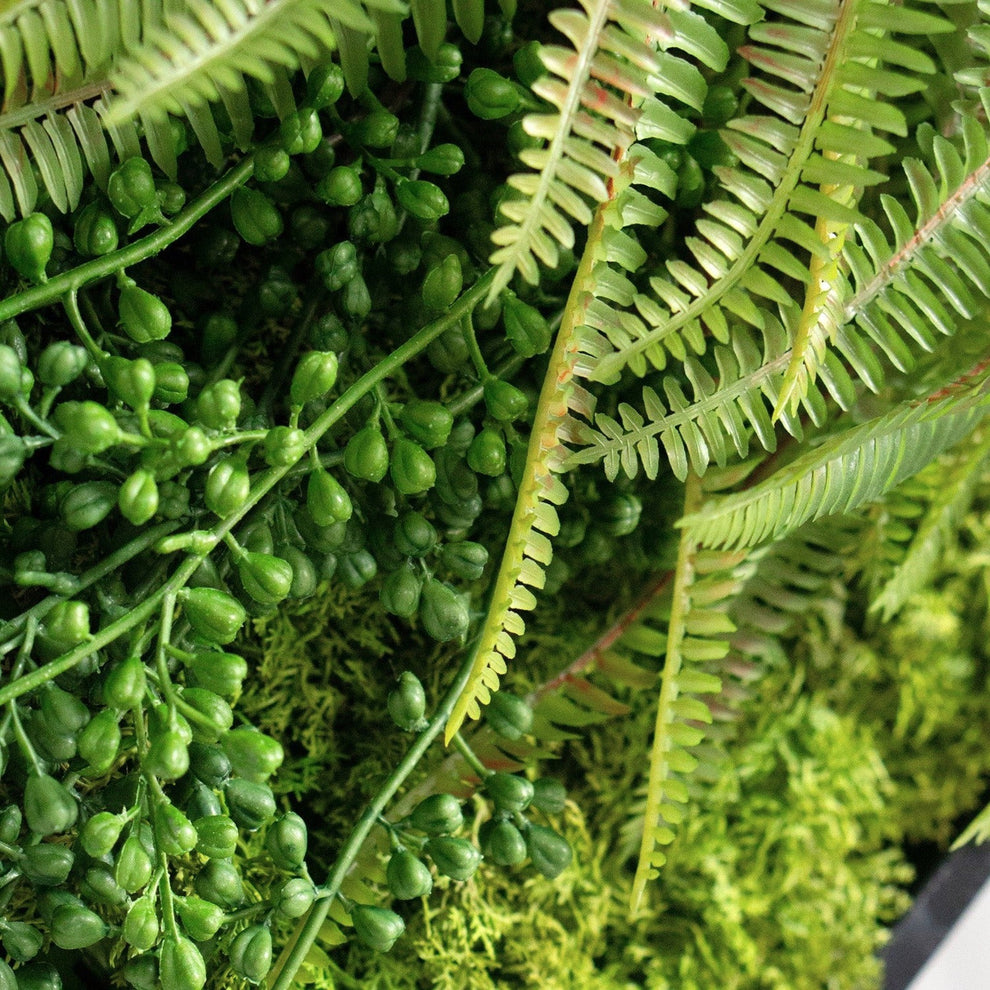 Green Wall, Mini Fern & Sedum Pearls 1 By Gold Leaf | Wall Art | Modishstore - 3