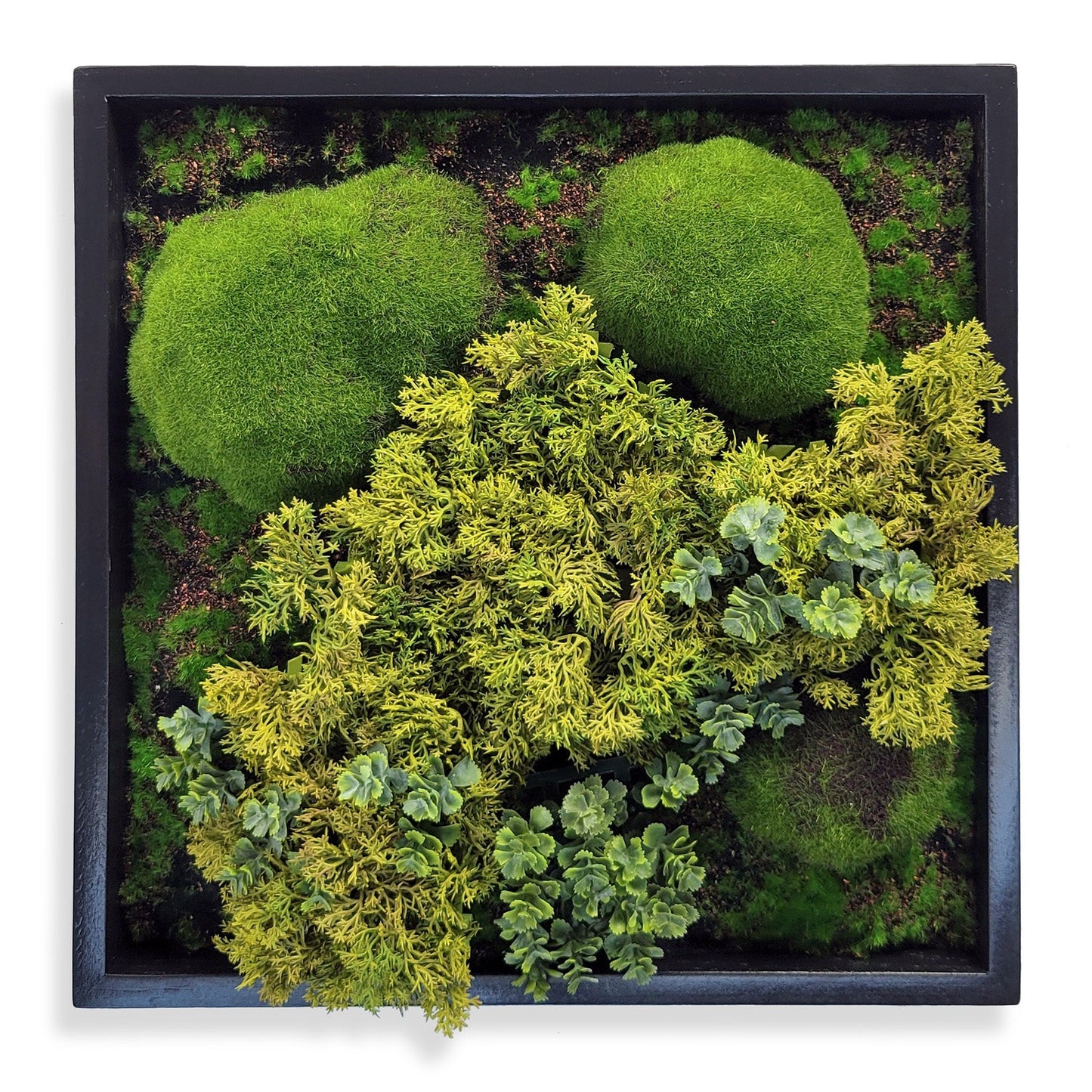 Green Wall, Mini Texture Mix 5 By Gold Leaf | Wall Art | Modishstore - 1