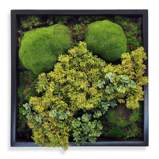 Green Wall, Mini Texture Mix 5 By Gold Leaf | Wall Art | Modishstore - 1