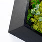 Green Wall, Mini Texture Mix 5 By Gold Leaf | Wall Art | Modishstore - 2