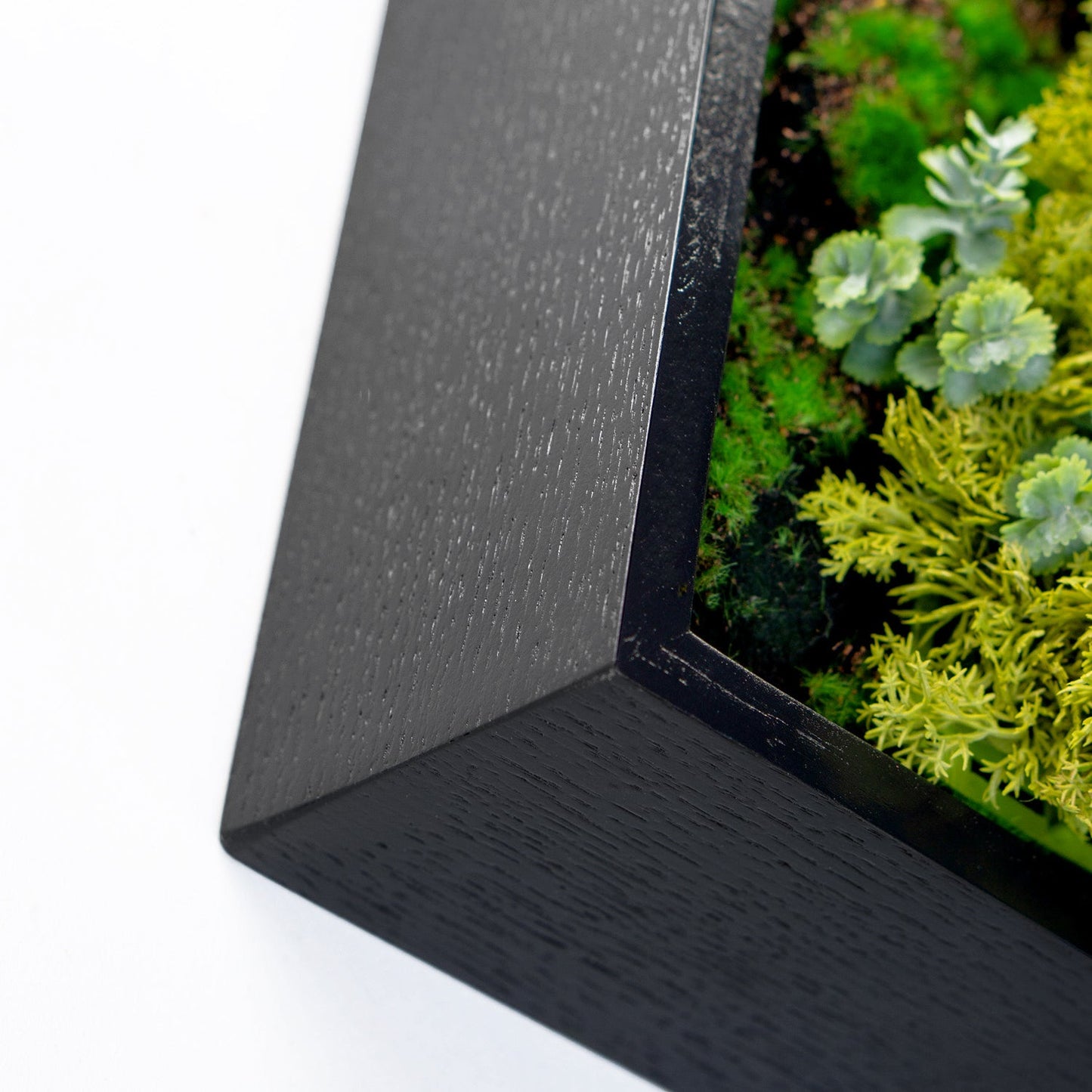 Green Wall, Mini Texture Mix 5 By Gold Leaf | Wall Art | Modishstore - 2