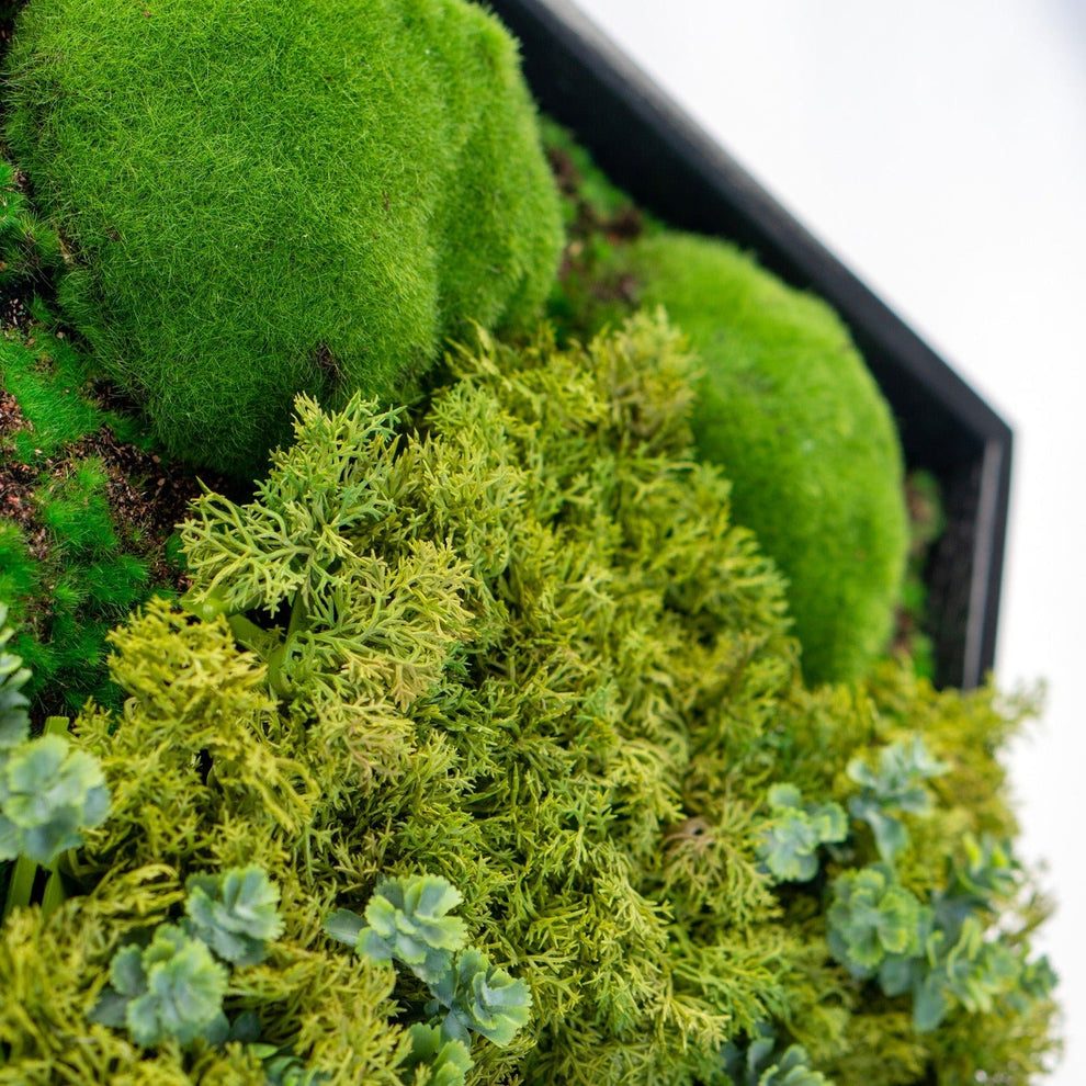 Green Wall, Mini Texture Mix 5 By Gold Leaf | Wall Art | Modishstore - 3
