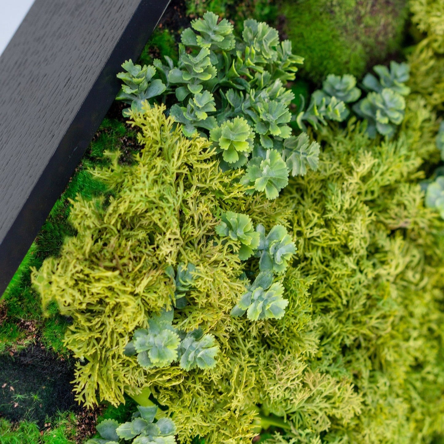 Green Wall, Mini Texture Mix 5 By Gold Leaf | Wall Art | Modishstore - 4