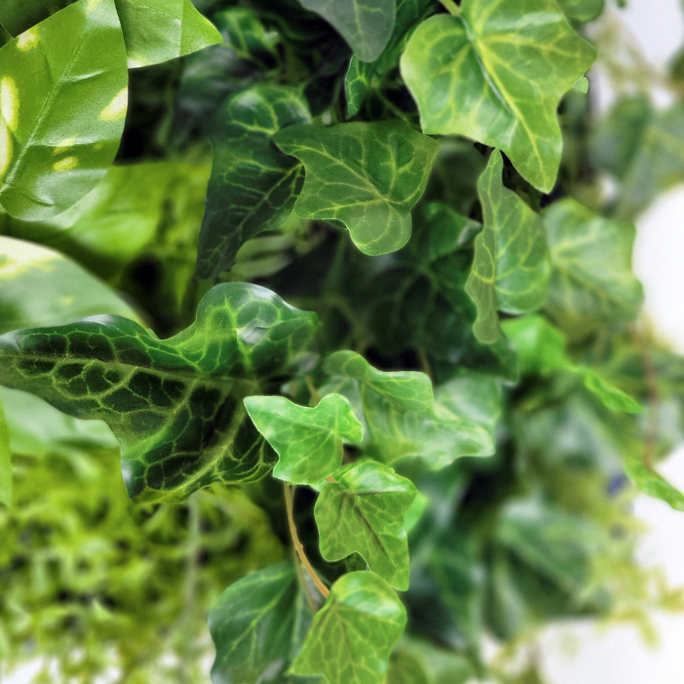 Green Wall, Mini Ivy & Pothos Mix 1 By Gold Leaf | Wall Art | Modishstore - 4