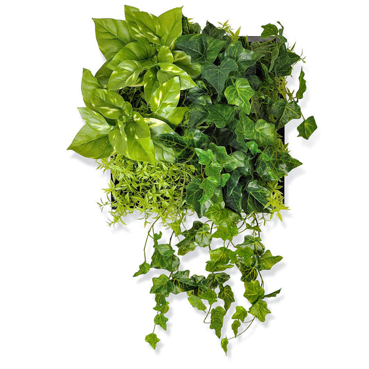 Green Wall, Mini Ivy & Pothos Mix 1 By Gold Leaf | Wall Art | Modishstore - 1