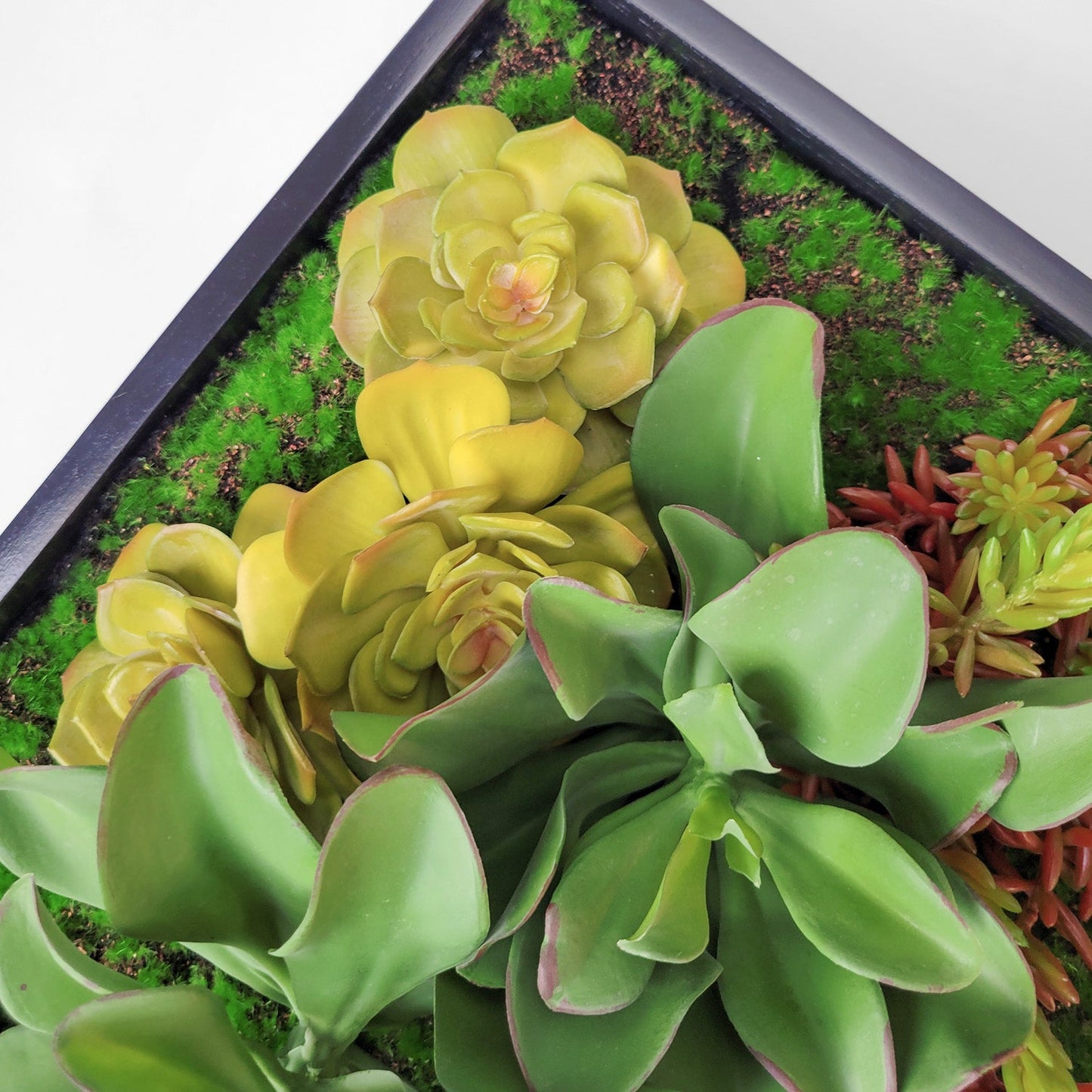 Green Wall, Mini Kalanchoe Mix 1 By Gold Leaf | Wall Art | Modishstore - 3