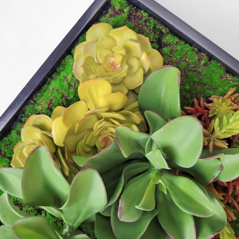 Green Wall, Mini Kalanchoe Mix 1 By Gold Leaf | Wall Art | Modishstore - 3