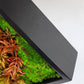 Green Wall, Mini Kalanchoe Mix 1 By Gold Leaf | Wall Art | Modishstore - 2
