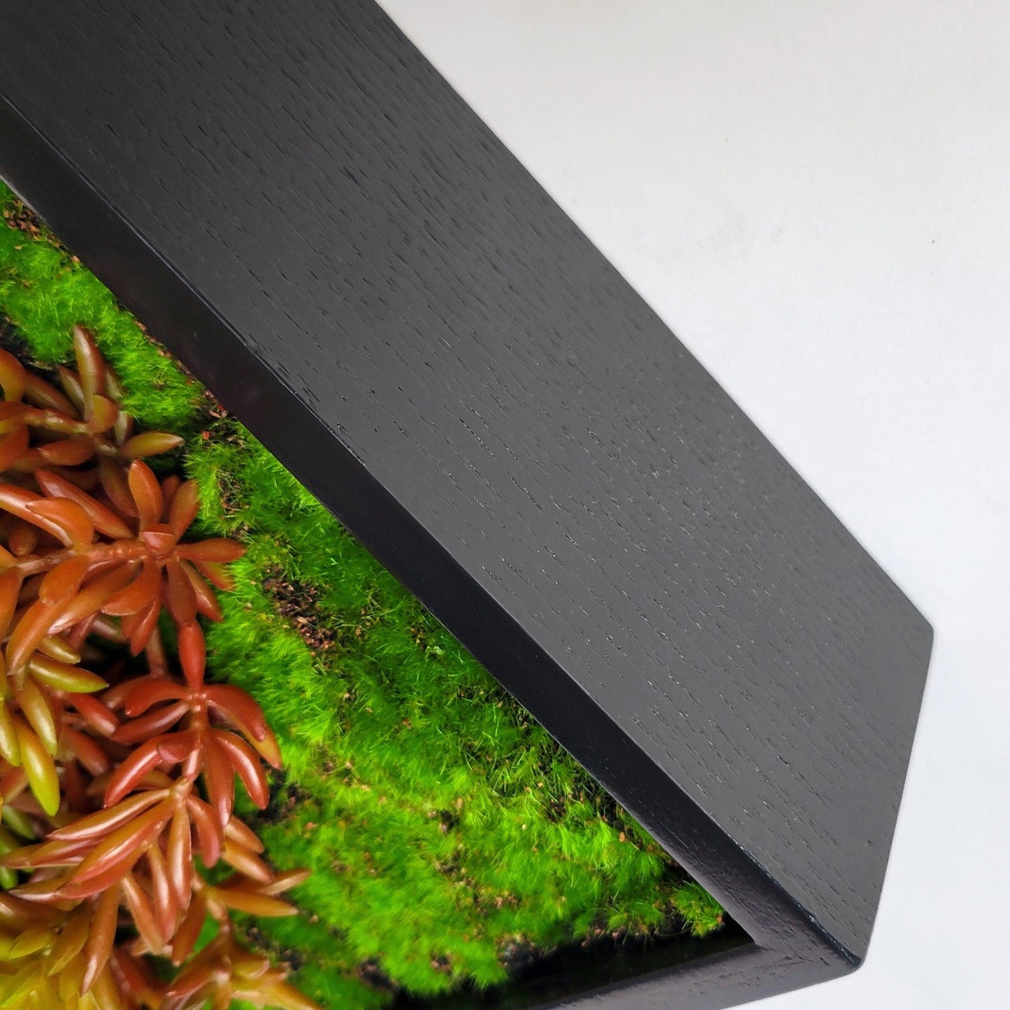 Green Wall, Mini Kalanchoe Mix 1 By Gold Leaf | Wall Art | Modishstore - 2