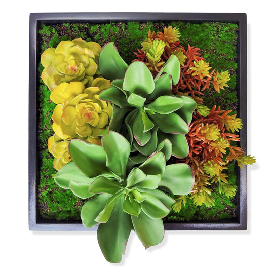 Green Wall, Mini Kalanchoe Mix 1 By Gold Leaf | Wall Art | Modishstore - 1