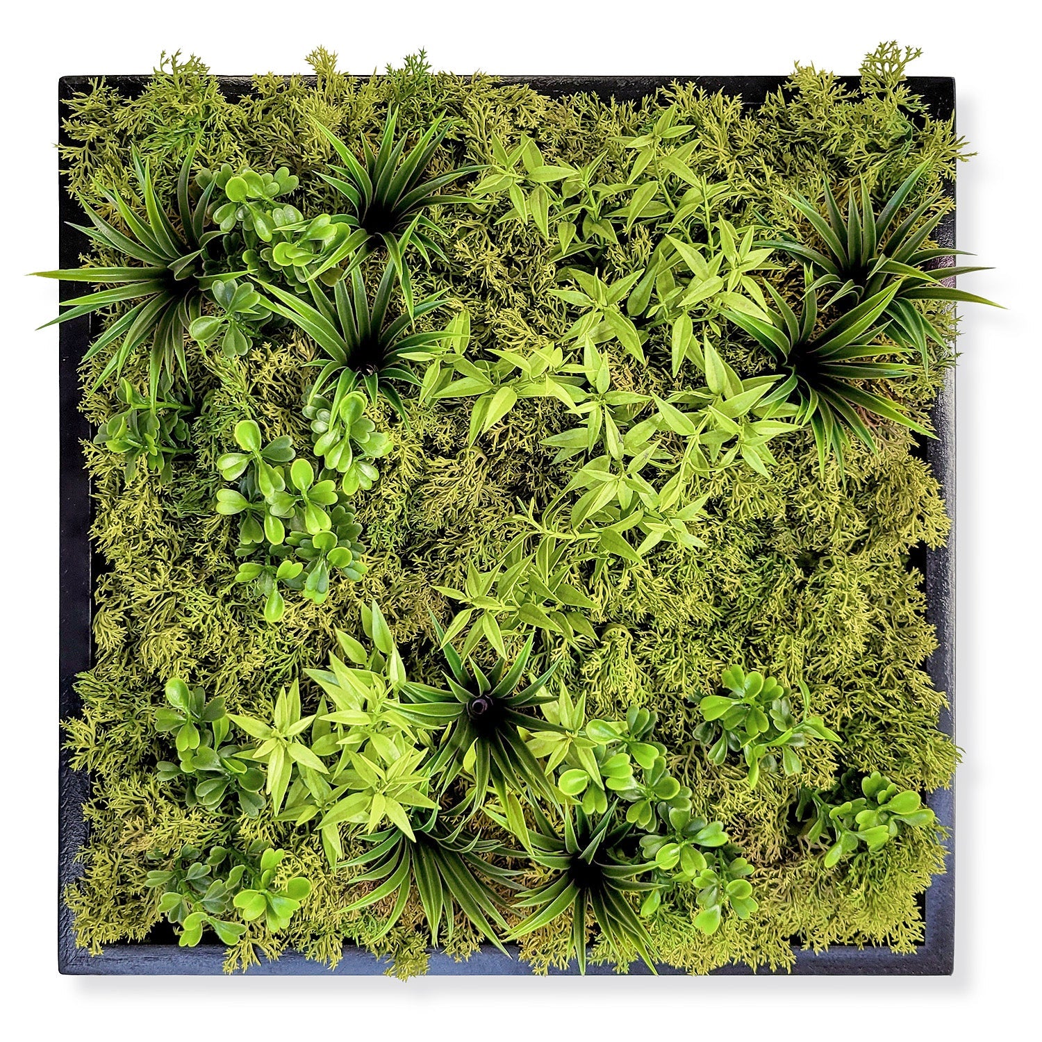 Green Wall, Mini Flat Texture Mix 3 By Gold Leaf | Wall Art | Modishstore - 1