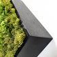 Green Wall, Mini Flat Texture Mix 3 By Gold Leaf | Wall Art | Modishstore - 2