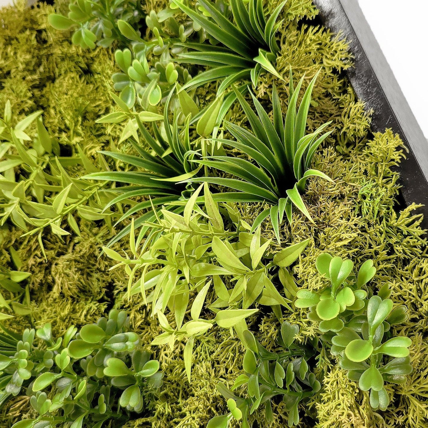 Green Wall, Mini Flat Texture Mix 3 By Gold Leaf | Wall Art | Modishstore - 4