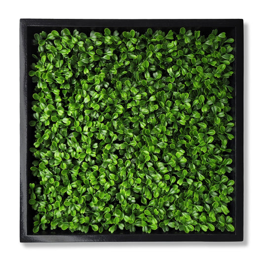 Green Wall, Mini Boxwood 1 By Gold Leaf | Wall Art | Modishstore - 1