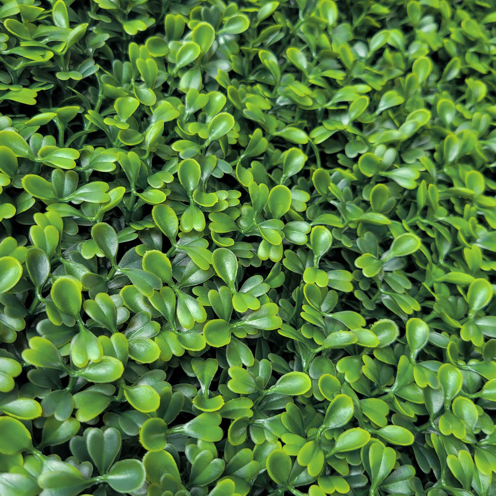 Green Wall, Mini Boxwood 1 By Gold Leaf | Wall Art | Modishstore - 3