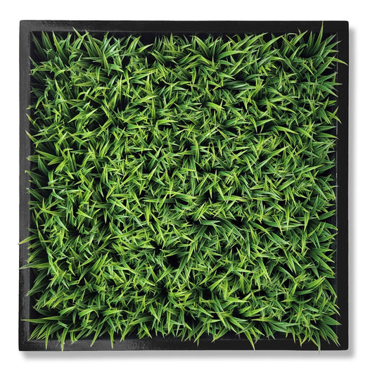 Green Wall, Mini Curly Grass 1 By Gold Leaf | Wall Art | Modishstore - 1