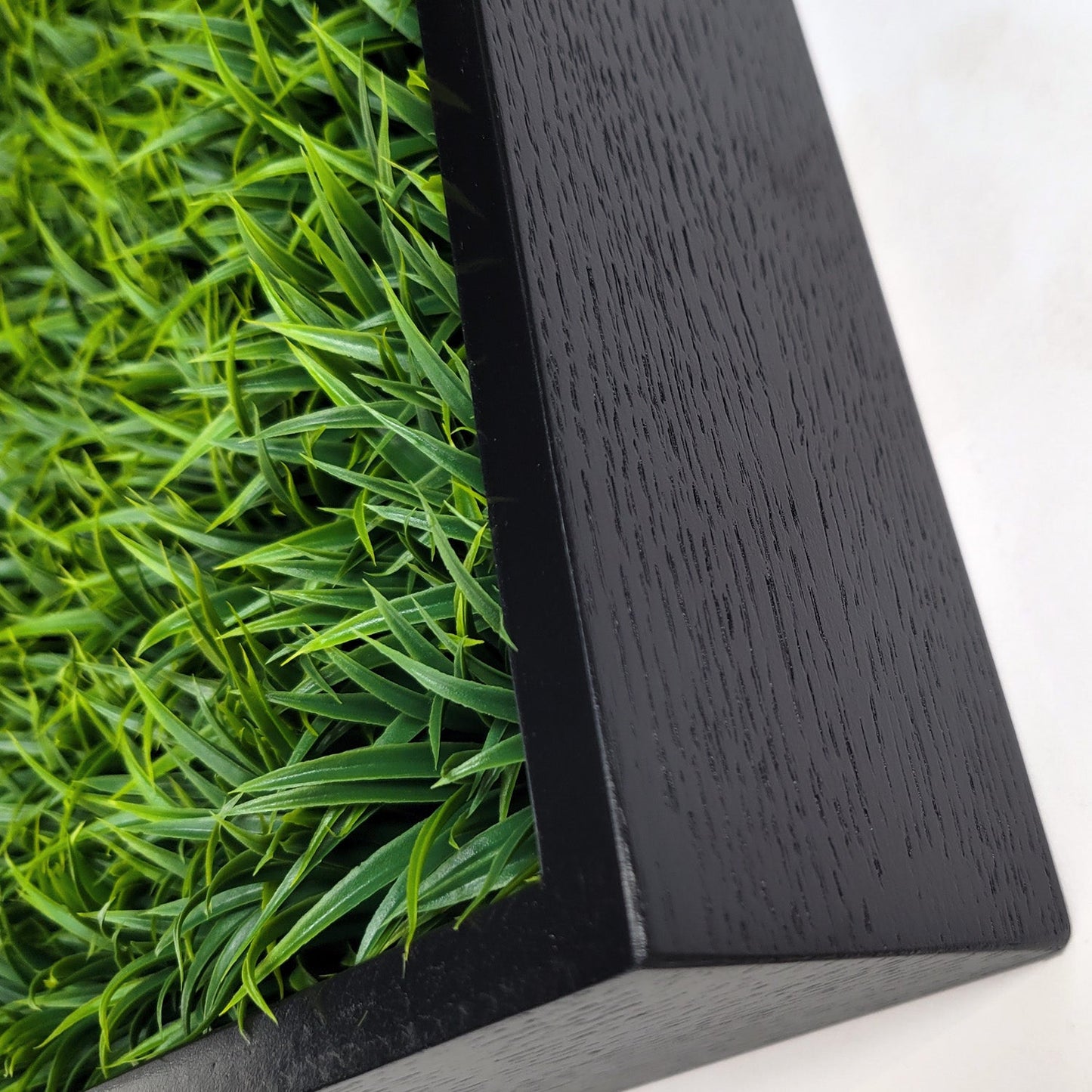 Green Wall, Mini Curly Grass 1 By Gold Leaf | Wall Art | Modishstore - 2