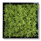 Green Wall, Mini Texture Leaf 1 By Gold Leaf | Wall Art | Modishstore - 1