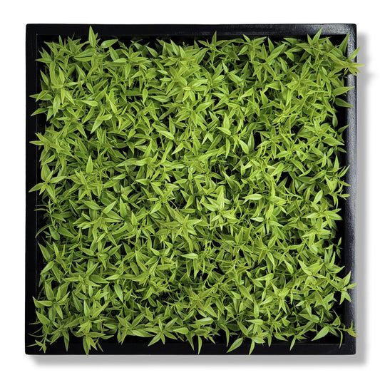 Green Wall, Mini Texture Leaf 1 By Gold Leaf | Wall Art | Modishstore - 1