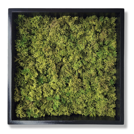 Green Wall, Mini Textured Moss 1 By Gold Leaf | Wall Art | Modishstore - 1