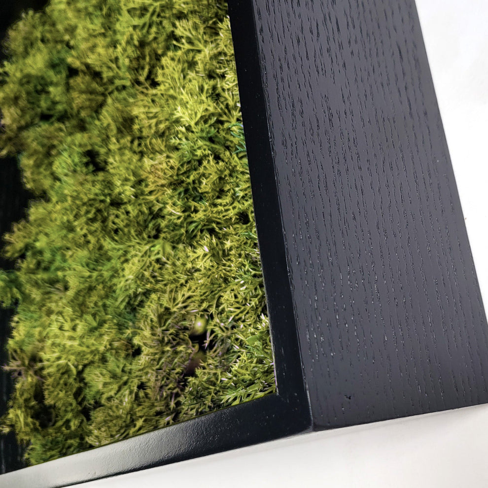 Green Wall, Mini Textured Moss 1 By Gold Leaf | Wall Art | Modishstore - 2
